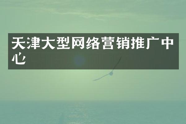 天津大型网络营销推广中心