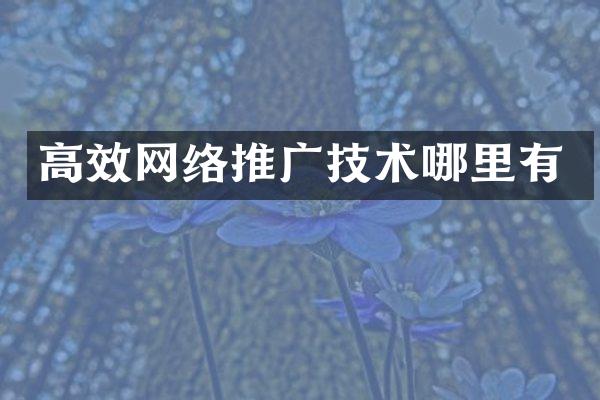 高效网络推广技术哪里有