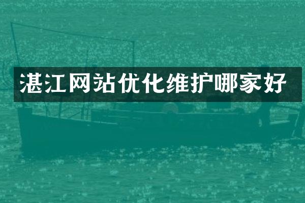 湛江网站优化维护哪家好