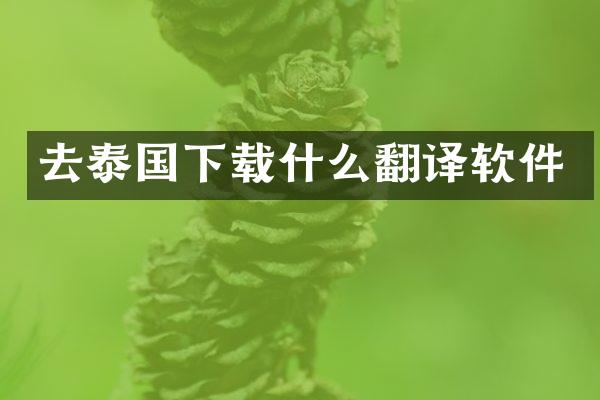 去泰国下载什么翻译软件