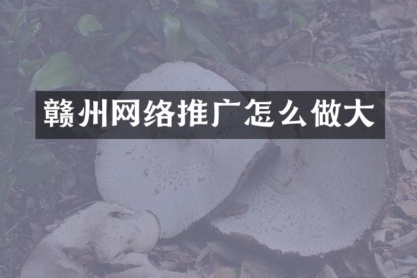 赣州网络推广怎么做大