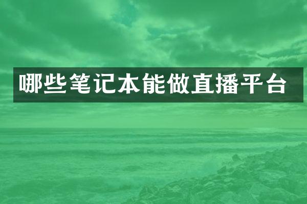 哪些笔记本能做直播平台
