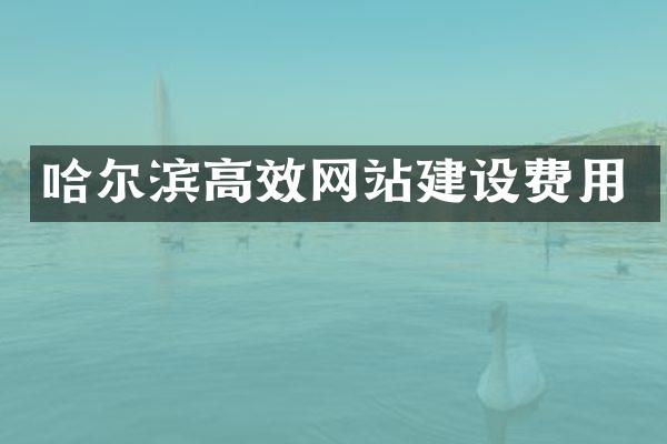哈尔滨高效网站建设费用