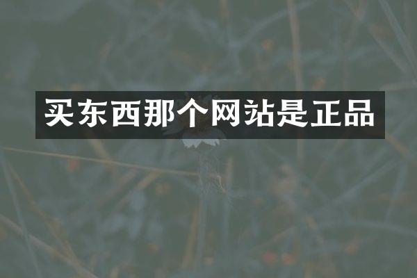 买东西那个网站是正品