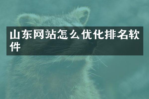 山东网站怎么优化排名软件