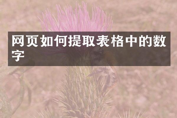 网页如何提取表格中的数字