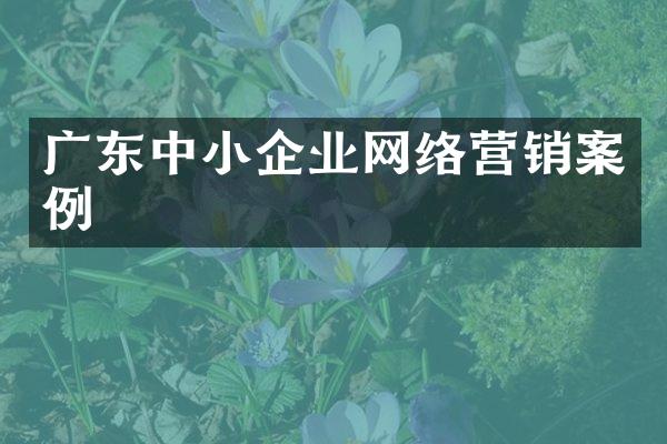 广东中小企业网络营销案例