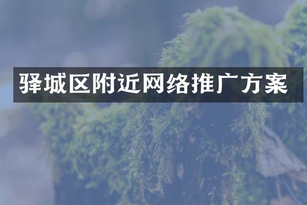 驿城区附近网络推广方案