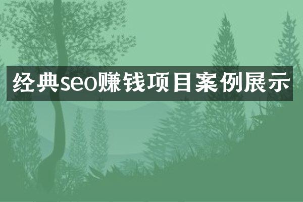 经典seo赚钱项目案例展示