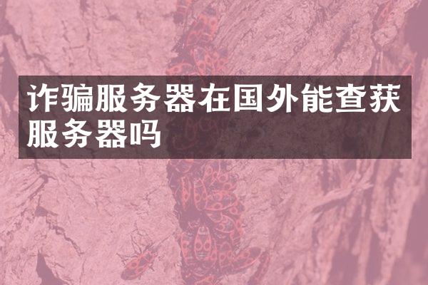 诈骗服务器在国外能查获服务器吗