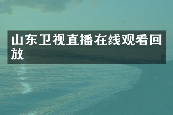 山东卫视直播在线观看回放