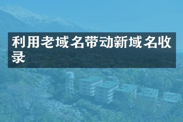 利用老域名带动新域名收录