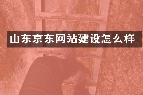 山东京东网站建设怎么样