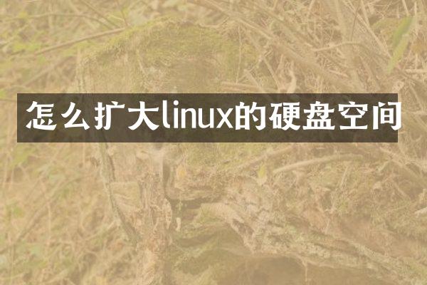 怎么扩大linux的硬盘空间