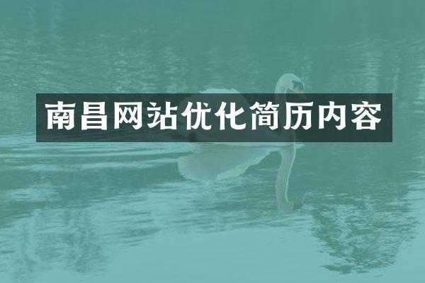 南昌网站优化简历内容