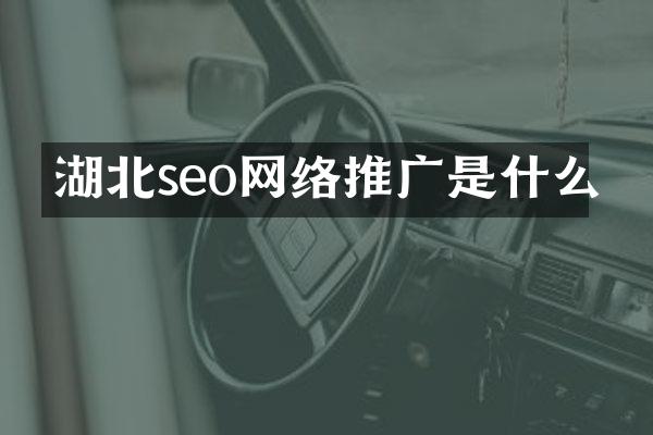 湖北seo网络推广是什么