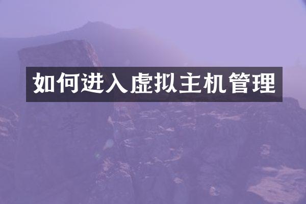 如何进入虚拟主机管理