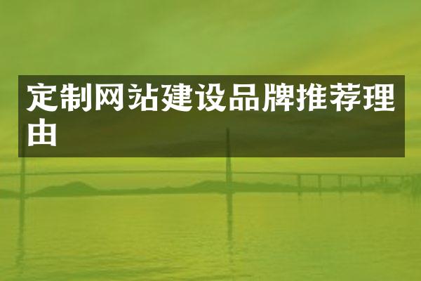 定制网站建设品牌推荐理由