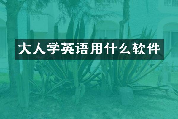 大人学英语用什么软件