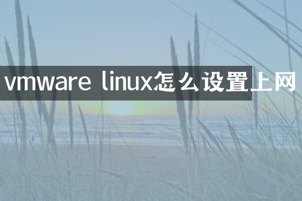vmware linux怎么设置上网
