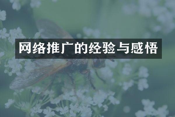 网络推广的经验与感悟