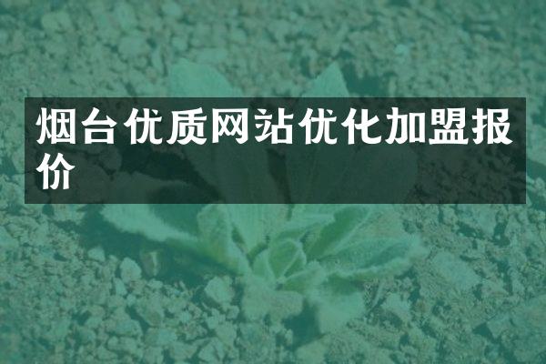 烟台优质网站优化加盟报价