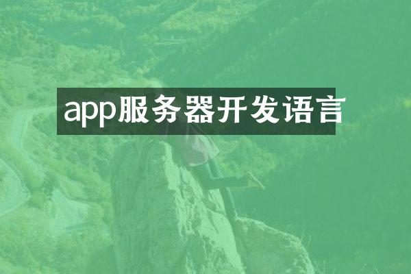 app服务器开发语言