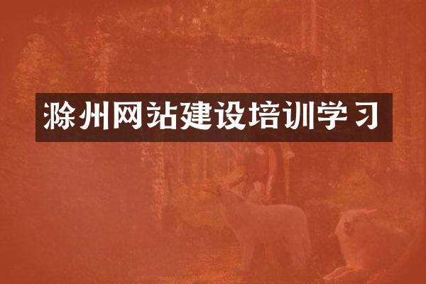 滁州网站建设培训学习