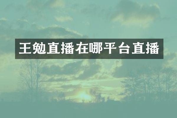 王勉直播在哪平台直播