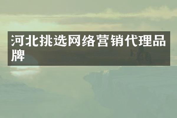 河北挑选网络营销代理品牌