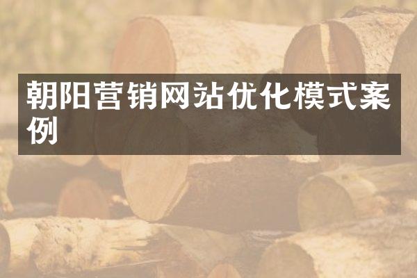 朝阳营销网站优化模式案例