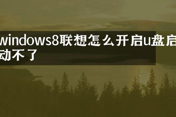 windows8联想怎么开启u盘启动不了