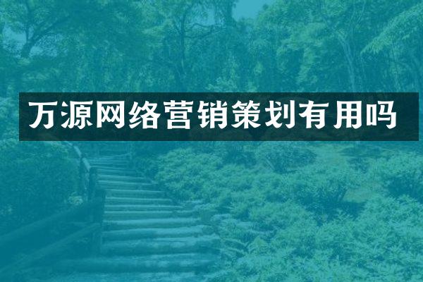 万源网络营销策划有用吗