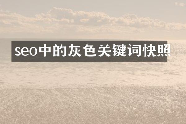 seo中的灰色关键词快照