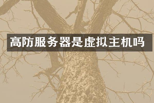 高防服务器是虚拟主机吗