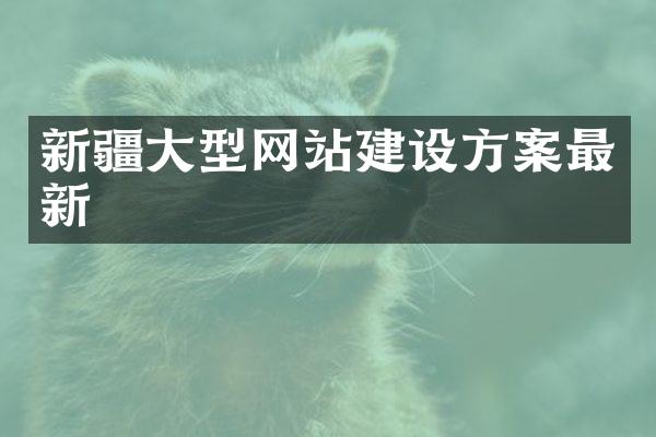 新疆大型网站建设方案最新