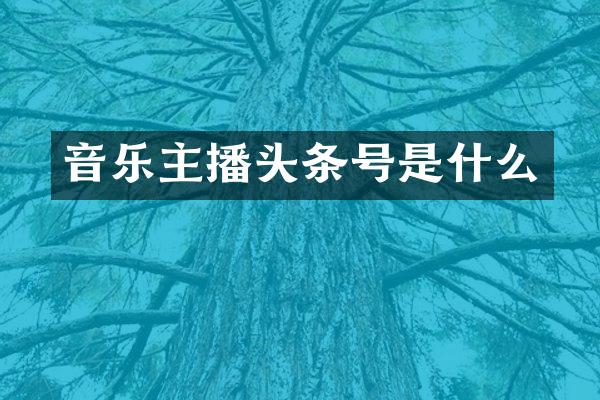 音乐主播头条号是什么