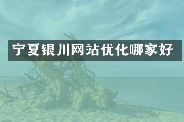 宁夏银川网站优化哪家好