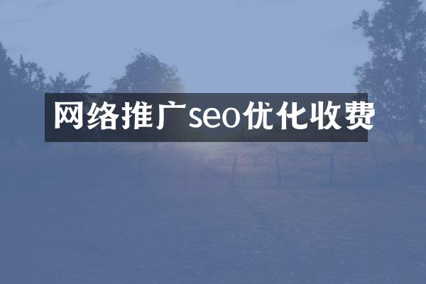 网络推广seo优化收费