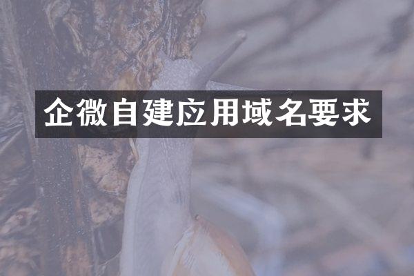 企微自建应用域名要求
