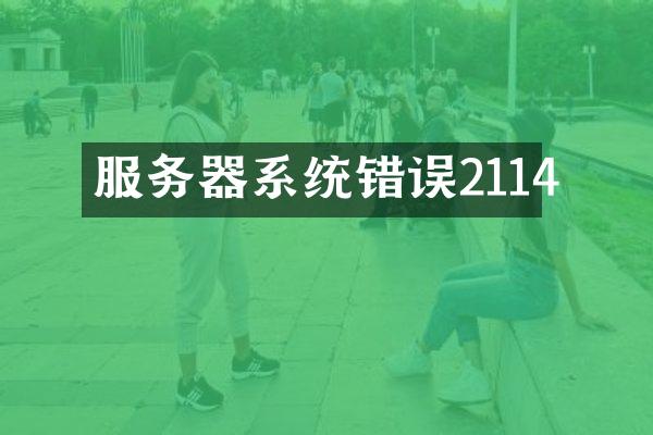 服务器系统错误2114