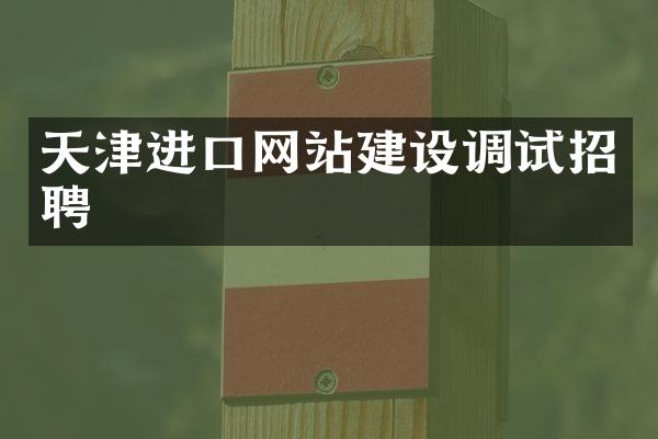 天津进口网站建设调试招聘