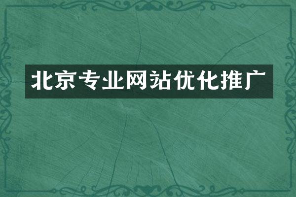北京专业网站优化推广
