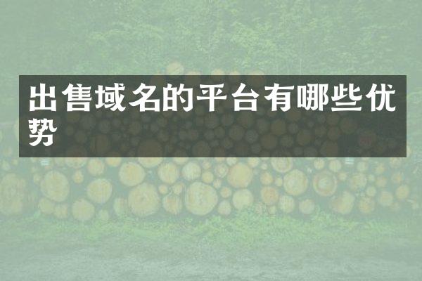 出售域名的平台有哪些优势