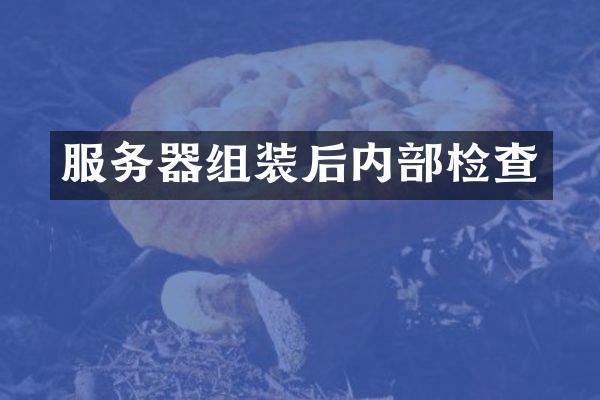 服务器组装后内部检查