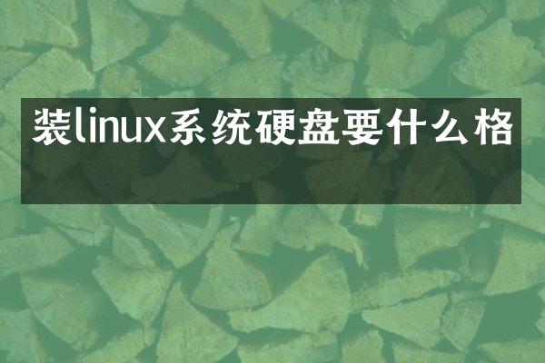 装linux系统硬盘要什么格式