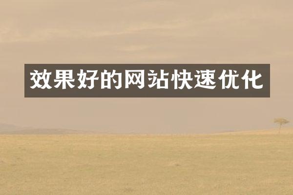 效果好的网站快速优化