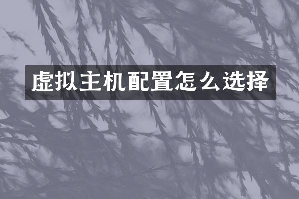 虚拟主机配置怎么选择
