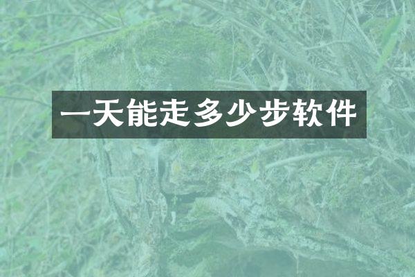 一天能走多少步软件