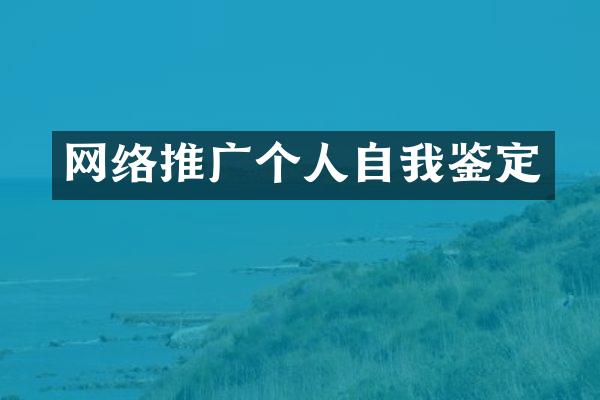网络推广个人自我鉴定